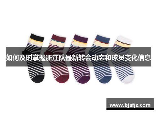 如何及时掌握浙江队最新转会动态和球员变化信息